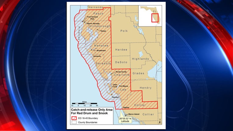 57ce8160-snook fwc map_1537987417895.jpg-401385.jpg