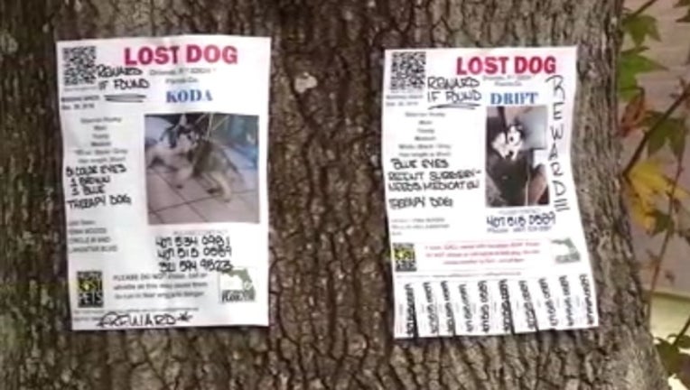 b44a0677-stolen service dogs_1546113801661.jpg.jpg