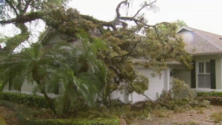 b6825f3e-storm damage_1459300736138.jpg