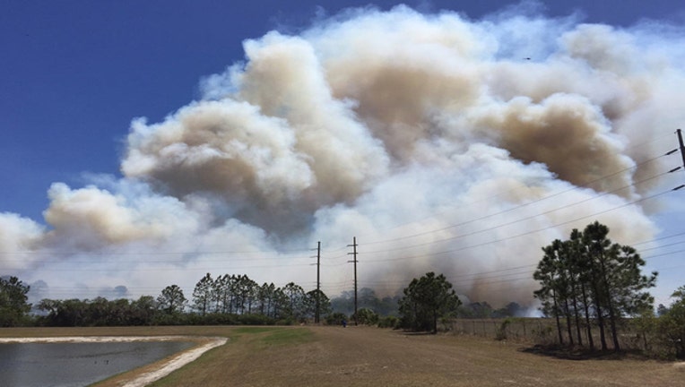 brush-fire.jpg
