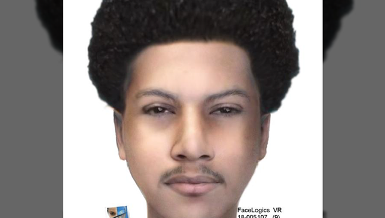 1c67ac72-suspect_1530811426727.png
