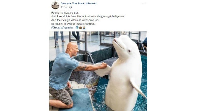 3c5d976c-the rock_1533654820238.jpg-404959.jpg