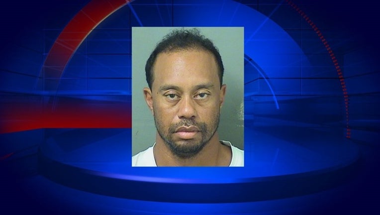 tiger woods dui mugshot_1496072500036.jpg