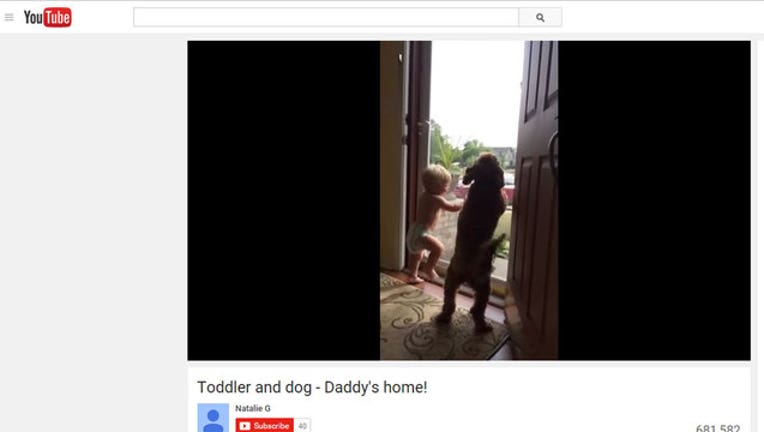 46a25cba-toddler-dog-daddy-homecoming_1444349462523.jpg
