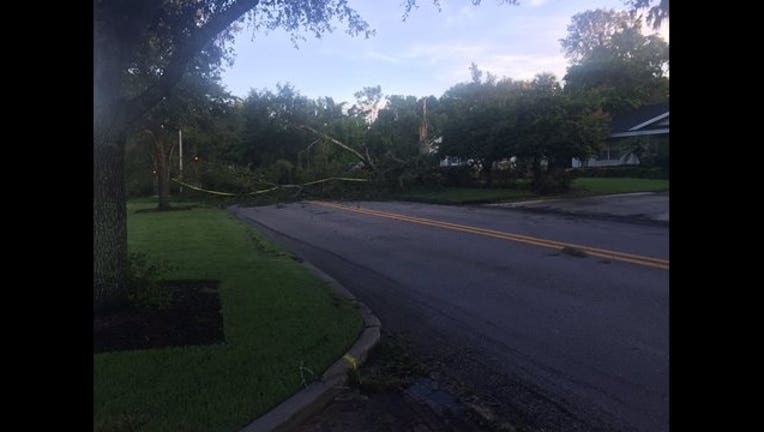 9cfcbfce-tree fallen storm damage_1499257158596.jpg