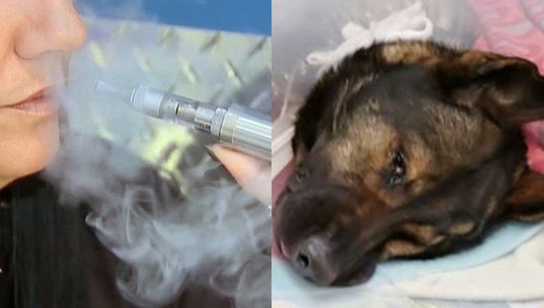 0f4edf24-vaping police dog protections_1556539226210.png.jpg