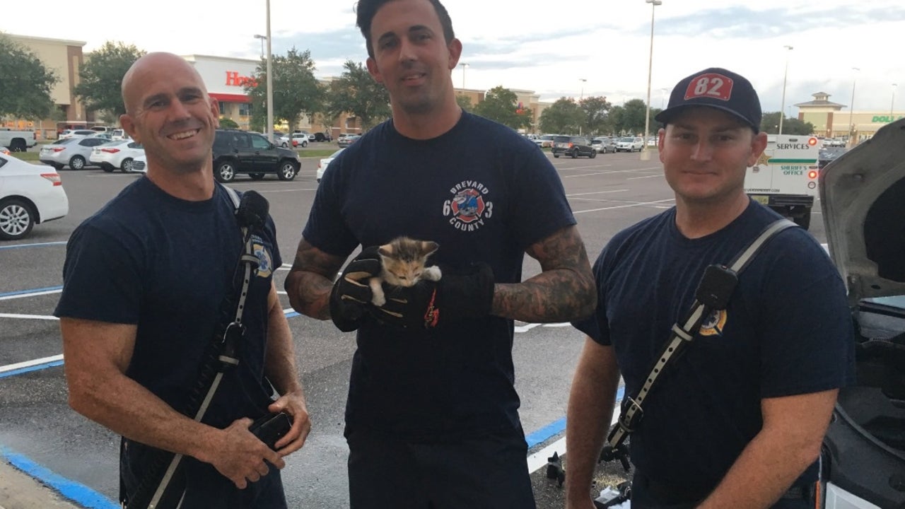 Firefighters Rescue Kitten Trapped Under Car Hood | FOX 35 Orlando