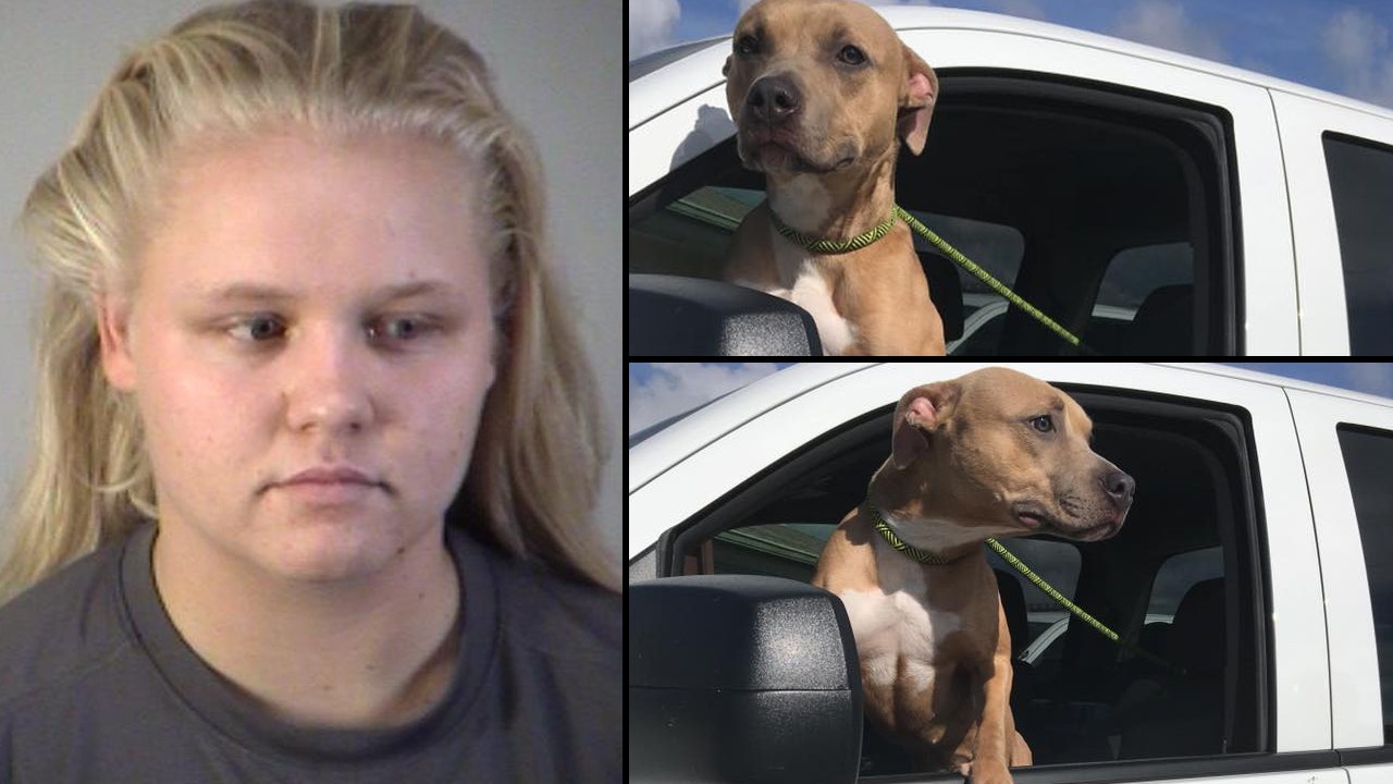 Florida woman arrested for abandoning dog in heavy traffic | FOX 35 Orlando