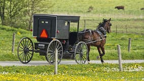 3 dead, 1 hurt in buggy-motor vehicle crash in Michigan