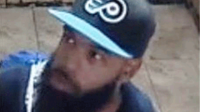 Cops hunt man who attacked elderly woman in robbery