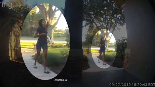 Deputies searching for juvenile porch pirate after stealing from Florida doorstep