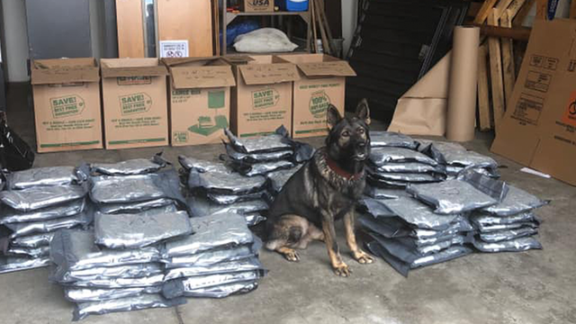 Florida K-9 finds 94 pounds of marijuana during traffic stop