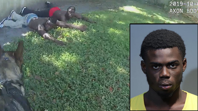 VIDEO: Florida K-9 takes down pair of suspected burglars