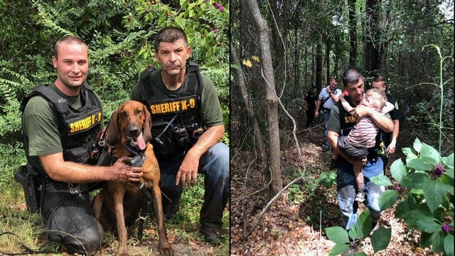 K-9 finds missing 3-year-old Florida boy with autism in less than 30 minutes