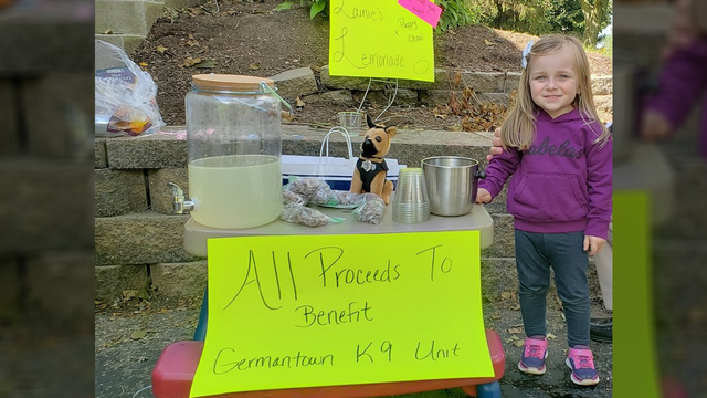 3-year-old raises money with lemonade stand for police K-9