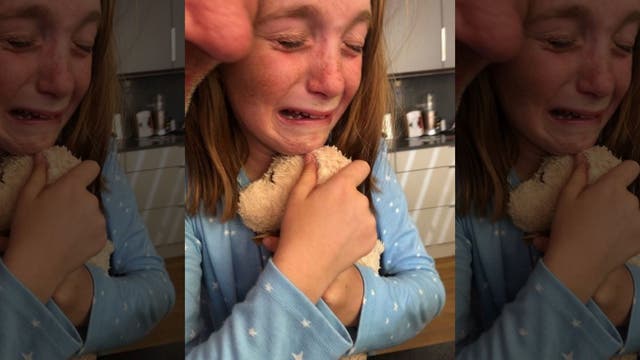 Hotel reunites girl, 10, with stuffed animal she left behind on vacation