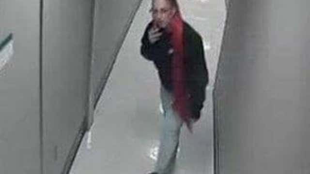 Ormond Beach police looking for car break-in suspect