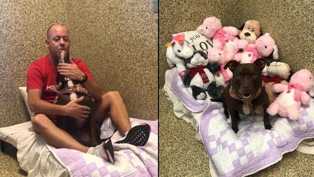 Kansas man moves into animal shelter to help get dog adopted