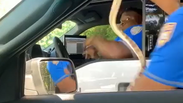 VIDEO: Miami Beach cop pranks fellow officer with fake snake