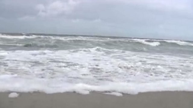 Shark 'grabbed' 10-year-old boy from boat in Tasmania: report