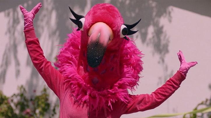 'Party like a flockstar': Flamingo in 'The Masked Singer ...