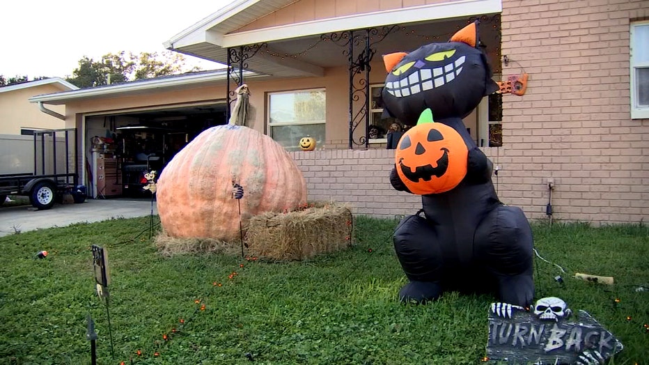 SETUP-GIANT-PUMPKIN-11-_WTVT99af_146.mxf_.00_00_00_00.Still001.jpg