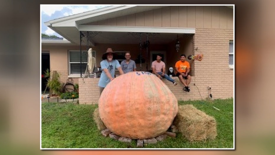 V-GIANT-PUMPKIN-5_WTVT99ab_146.mxf_.00_00_01_36.Still001.jpg