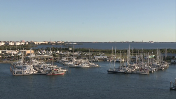 Weekly Weather Watch - Sunday November 24