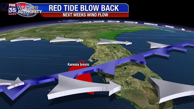 Changing wind brings red tide threat back to Florida