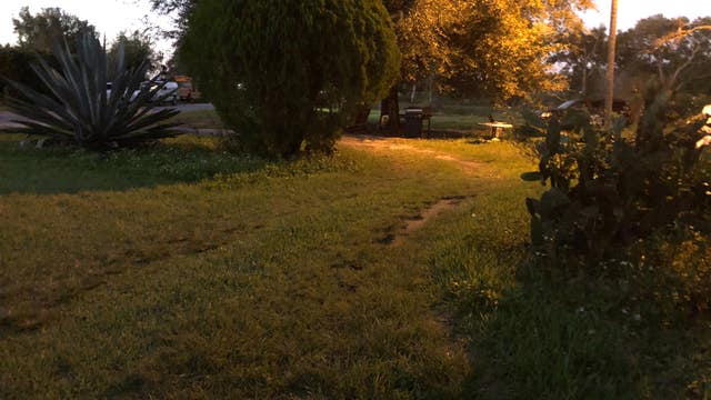 Sumter County deputies investigate after man's body found in yard