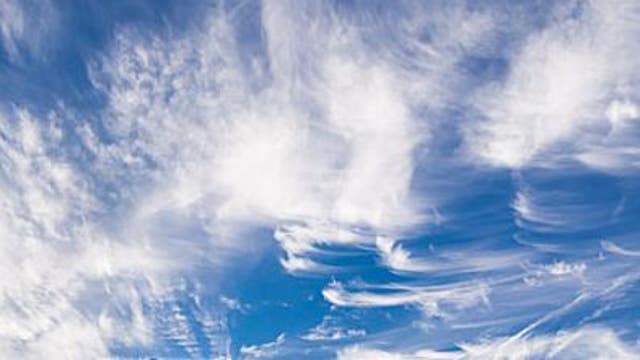 Weather-Lore Scratching Hens