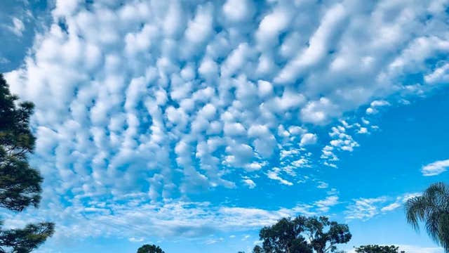 Weekly Weather Watch - Sunday November 17