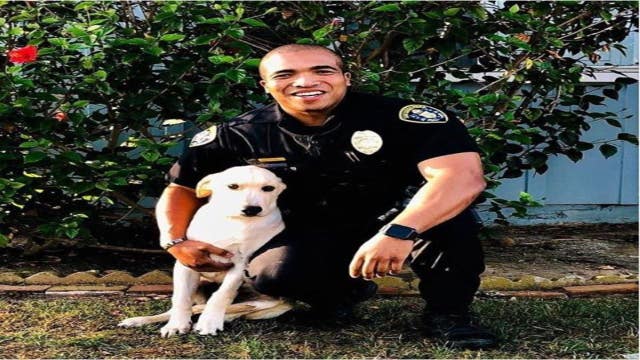 Police officer adopts dog he found in stolen car