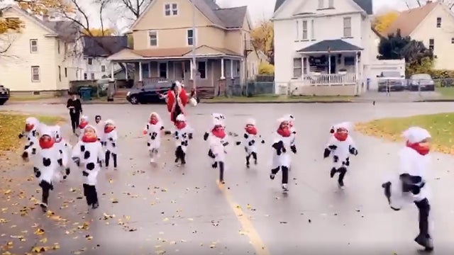 WATCH: Pre-K students dressed as Dalmatians run from ‘Cruella’ teacher