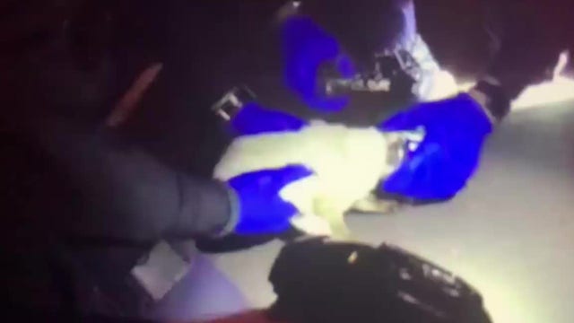 1 life down, 8 to go: Police officers gently rescue kitten with head stuck in peanut butter jar