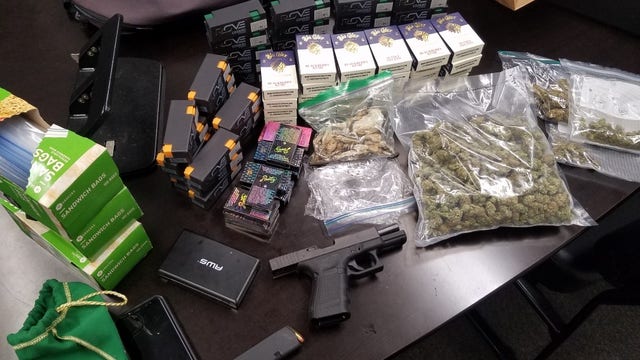 Report: Florida police find marijuana, 'magic mushrooms' during traffic stop