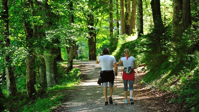 20 minutes of moderate exercise each day could boost US economy by up to $200 billion by 2050, analysis suggests