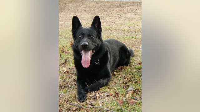 Police department mourns the death of their first K-9 officer