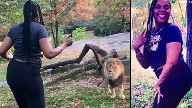 New York woman in Bronx Zoo lion enclosure stunt that went viral arrested on criminal trespass charge