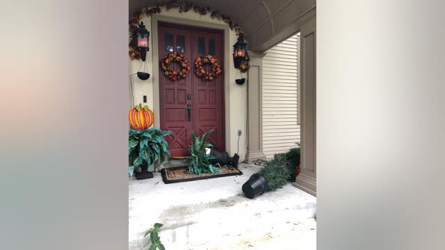 VIDEO: Bear ransacks front porch after woman leaves out apple cider vinegar