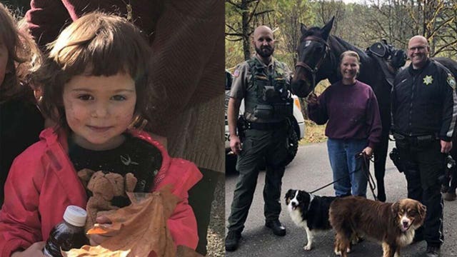 Toddler lost in Oregon wilderness found safe by woman on horseback and her dog