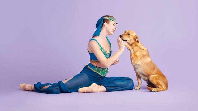 ‘The Muttcracker’: Ballerinas pose with shelter pets in magical holiday photo series
