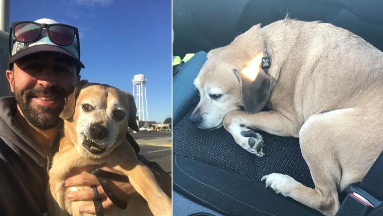 Ryan drove Bailey from Minnesota to Washington so he could be reunited with his owner, who is terminally ill and moved away to get help from a friend.