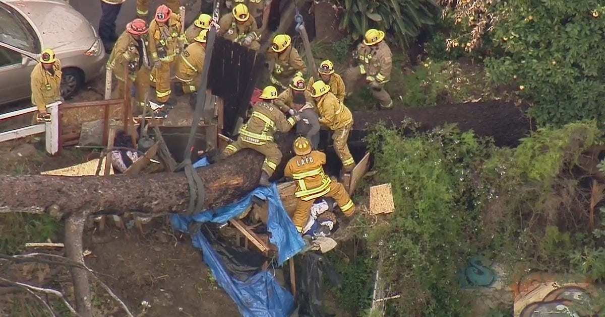 Firefighters rescue man trapped underneath fallen tree in Echo Park ...