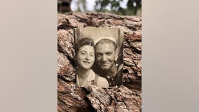 DeLand woman tries to return missing photo to owner