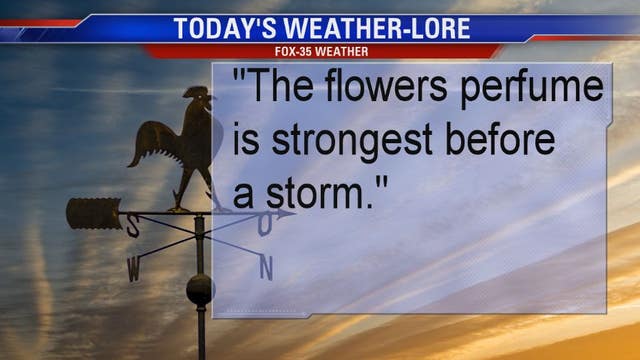 The Smell Of Weather