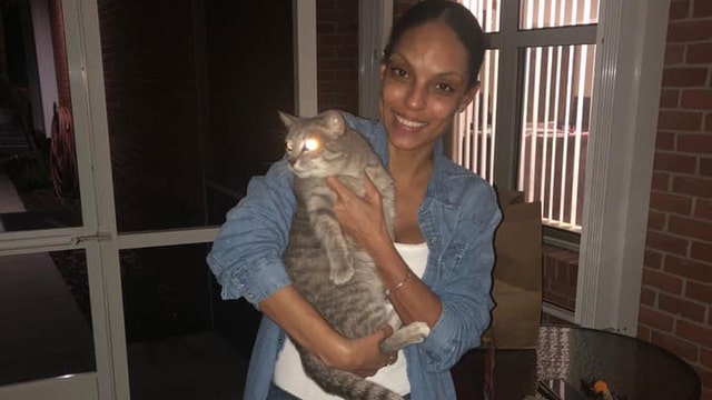 Deputies reunite family with cat that disappeared during Hurricane Irma