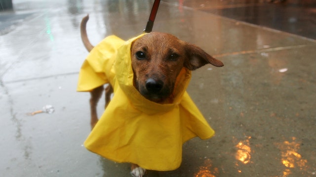 Soggy weekend across Central Florida before New Year's cold front moves in