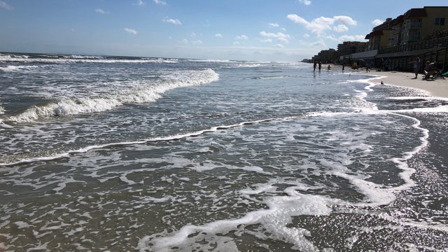 Cold water temperatures, rough beach conditions, and dangerous wildlife keeps beachgoers away