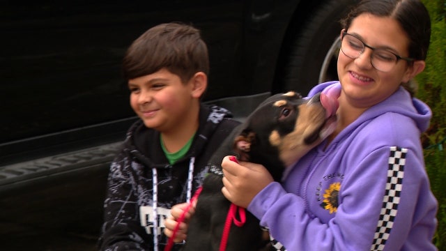 'Operation Santa Paws' delivers shelter pets to families in Lake County